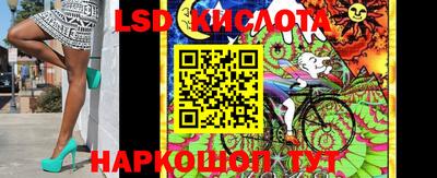 эйфоретик Кандалакша