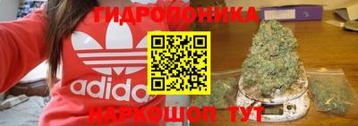 бошки Камышлов