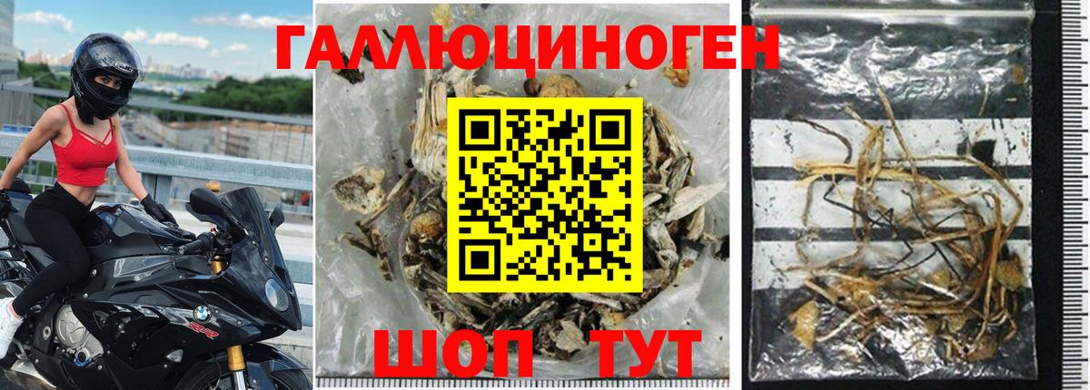 Галлюциногенные грибы MAGIC MUSHROOMS Благовещенск